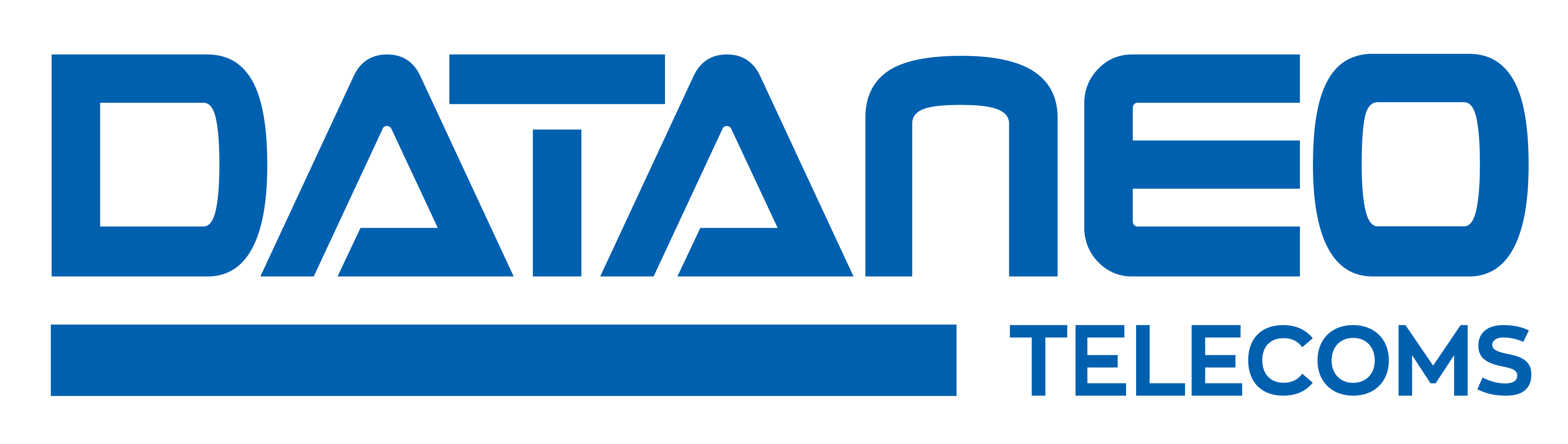 DATANEO
